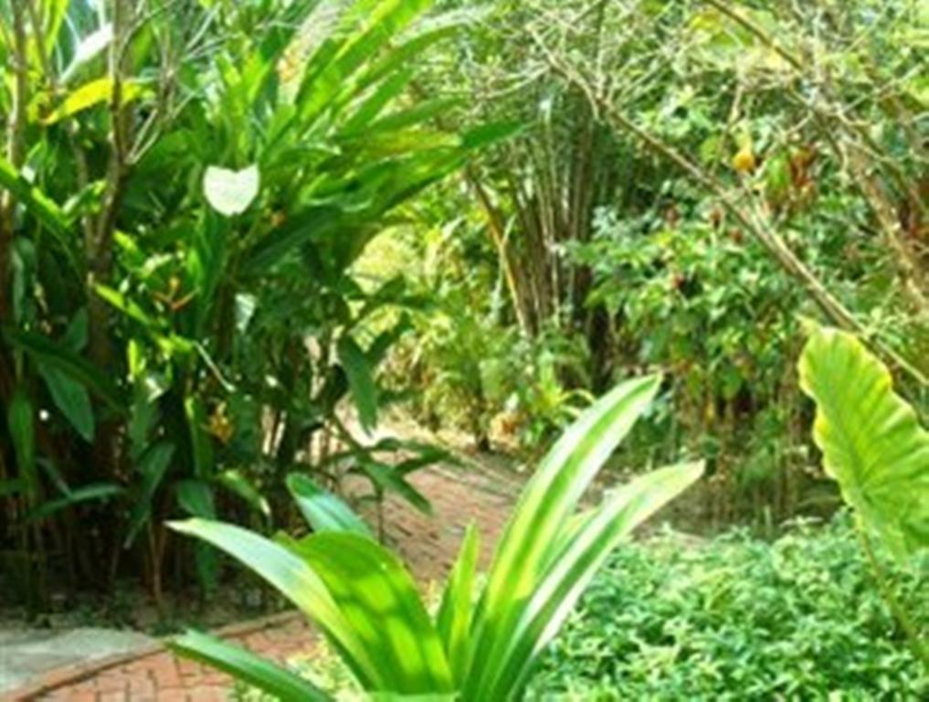 מלון קפ Botanica מראה חיצוני תמונה